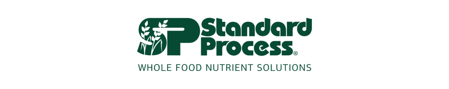Standadr Process Logo