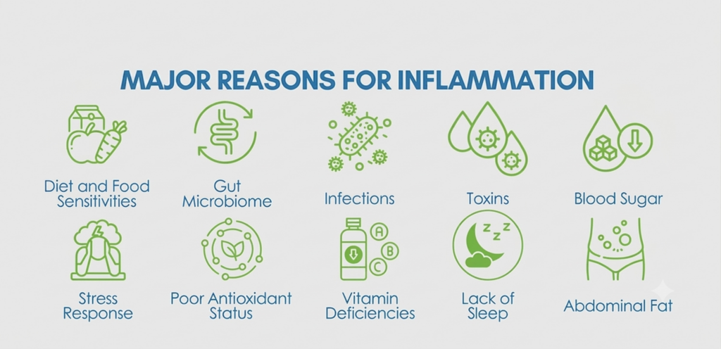 major reasons for inflammation infographic